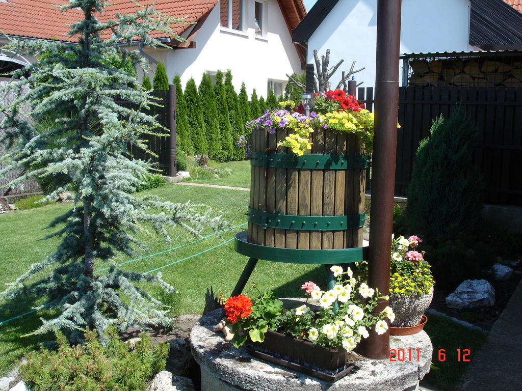 DSC03306-001