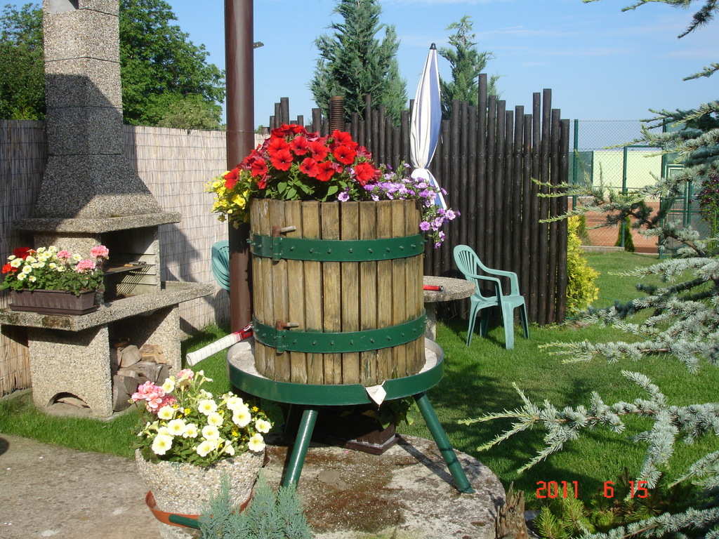 DSC03320-001