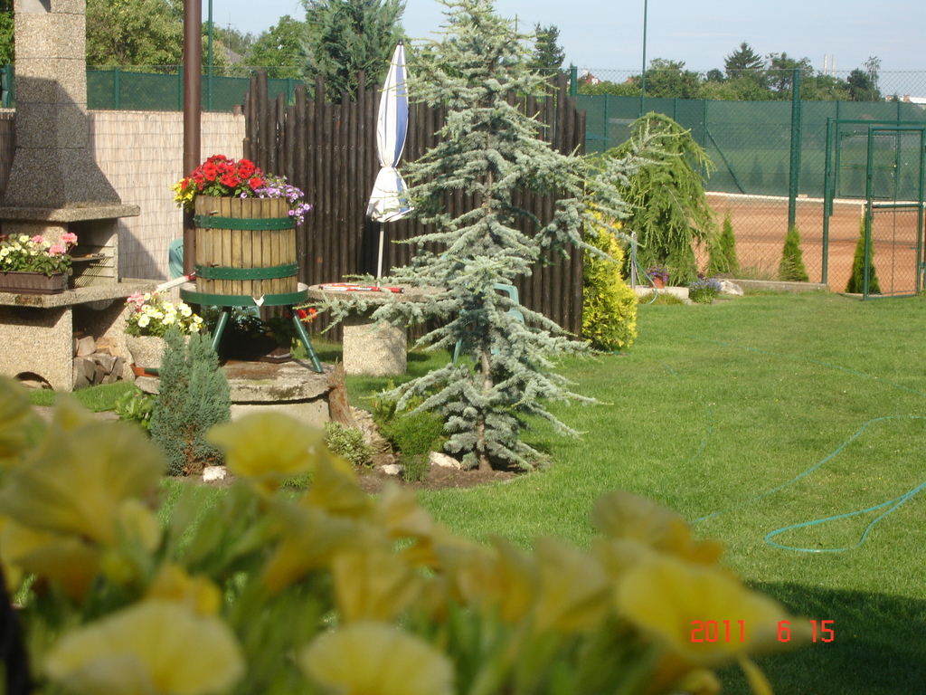 DSC03334-001