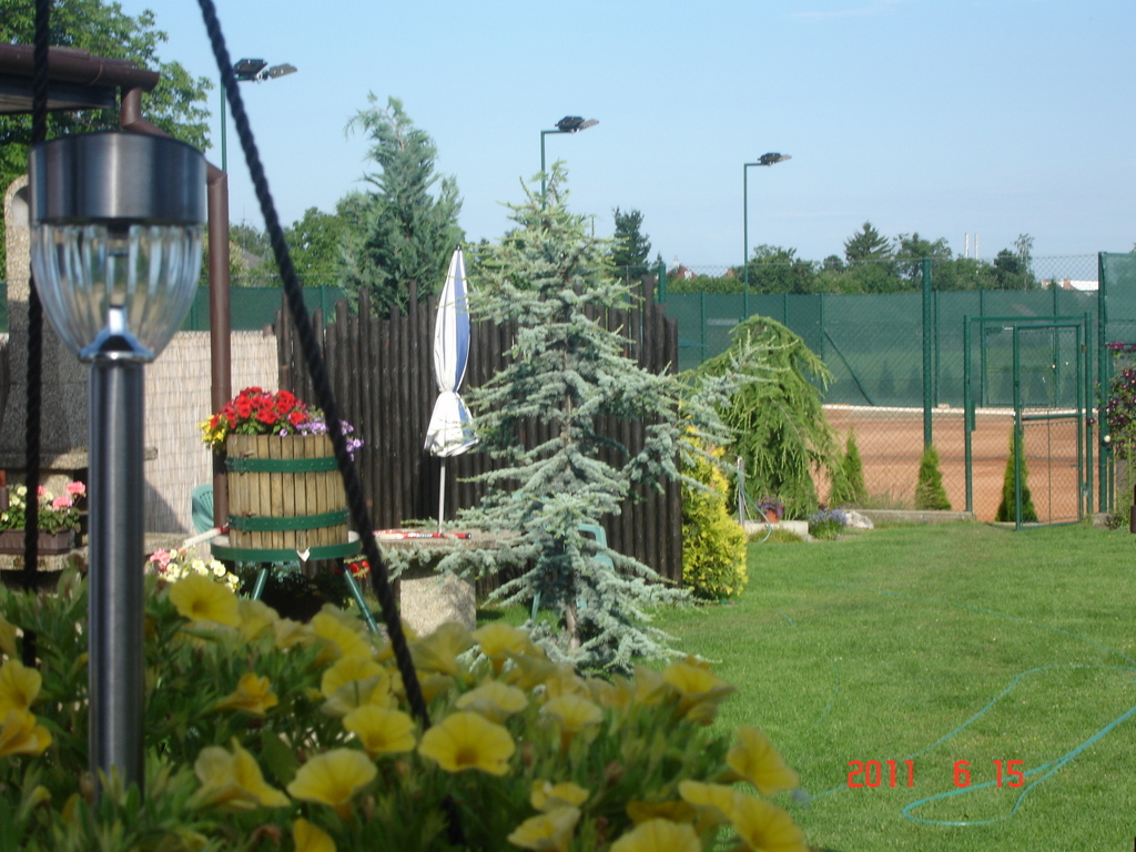 DSC03335-001