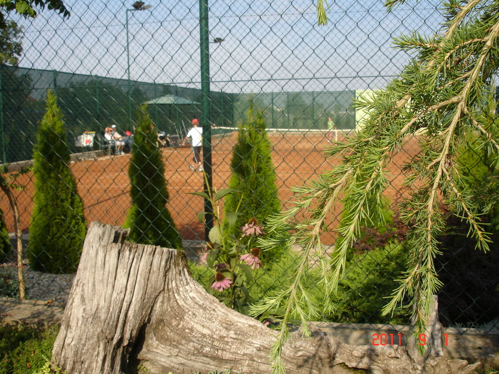 DSC03421-001